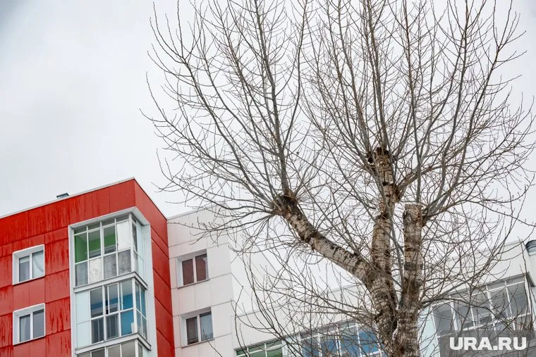 Квартиры стали покупать чаще