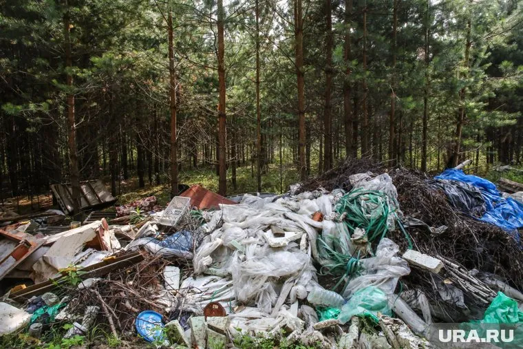 На свалке в лесу возле Тюмени нашли не только мусор, но и части животных (архивное фото)