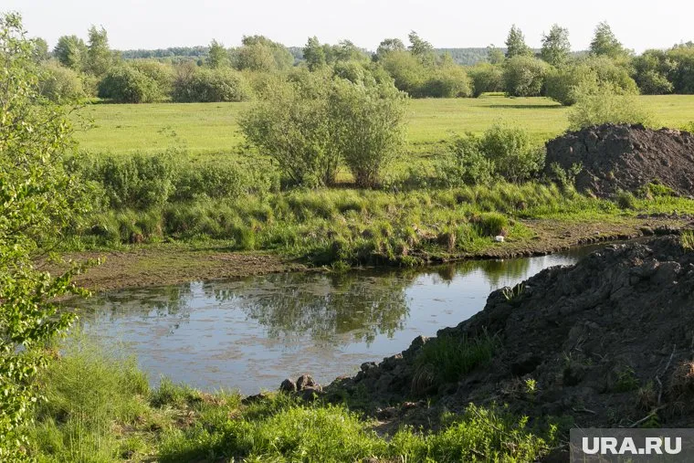 Трагедия произошла на Нижнеисетском пруду в Екатеринбурге (фото из архива)
