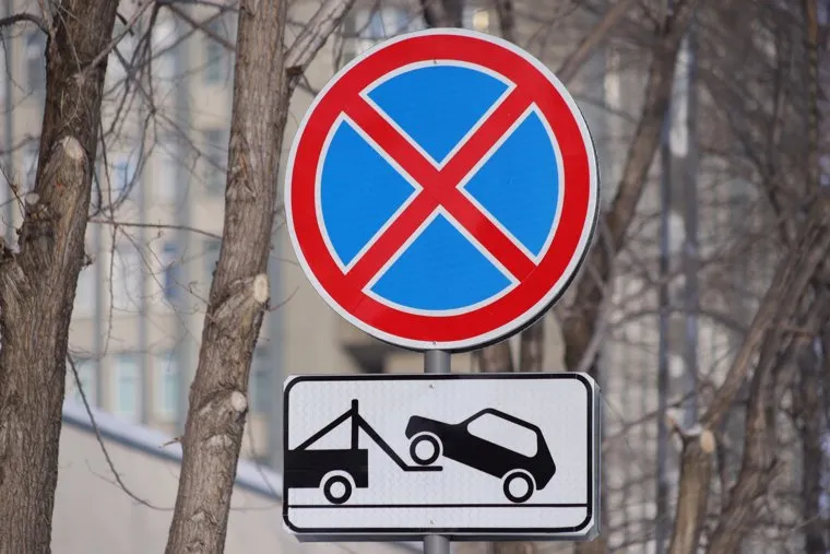 Город. Курган