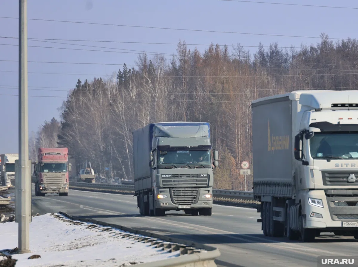 Водитель грузовоза признан виновным в смертельном ДТП на курганской трассе