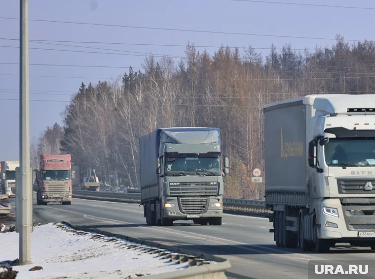 Водитель грузовоза признан виновным в смертельном ДТП на курганской трассе