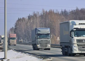 Полтора года и миллион рублей: водителю грузовоза вынесли приговор за смертельный обгон на курганской трассе