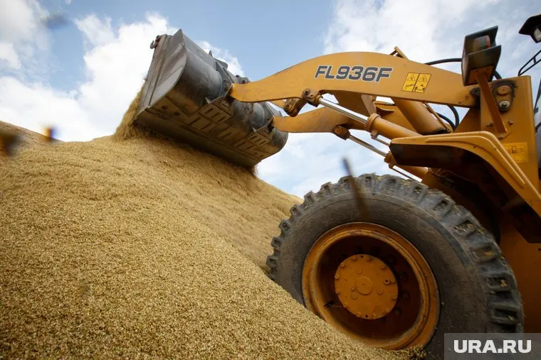 Рекордный урожай не на чем вывезти на продажу