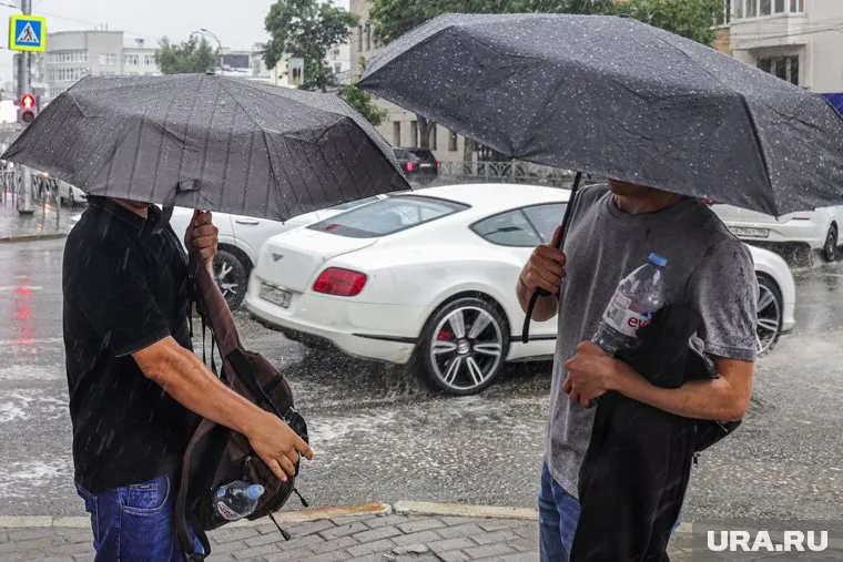 Днем 24 июля ожидаются дождь и гроза 