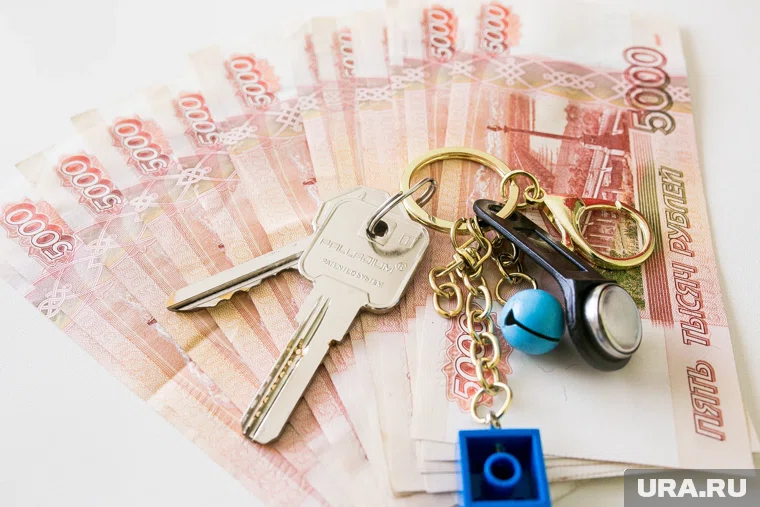 Налоговая заинтересовалась владельцами имущества без подтвержденных официальных доходов