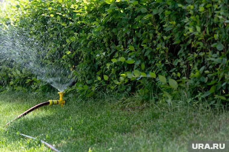 Июль принес Пермскому краю засуху