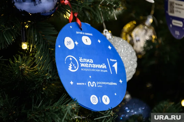 Прием заявок на участие во всероссийской акции «Ёлка желаний» в этом году (2025) начнется 15 ноября 2025 года