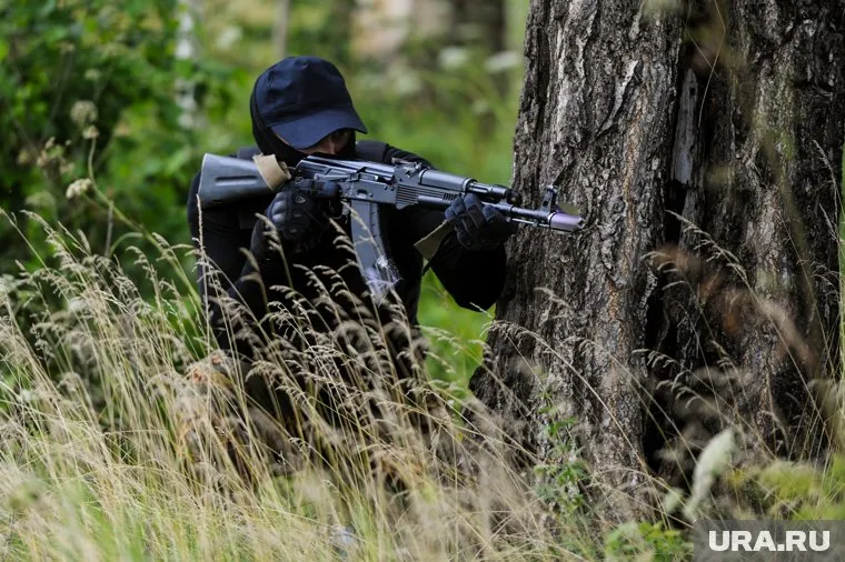 На геолокации к фотографии указана Курская область (архивное фото)