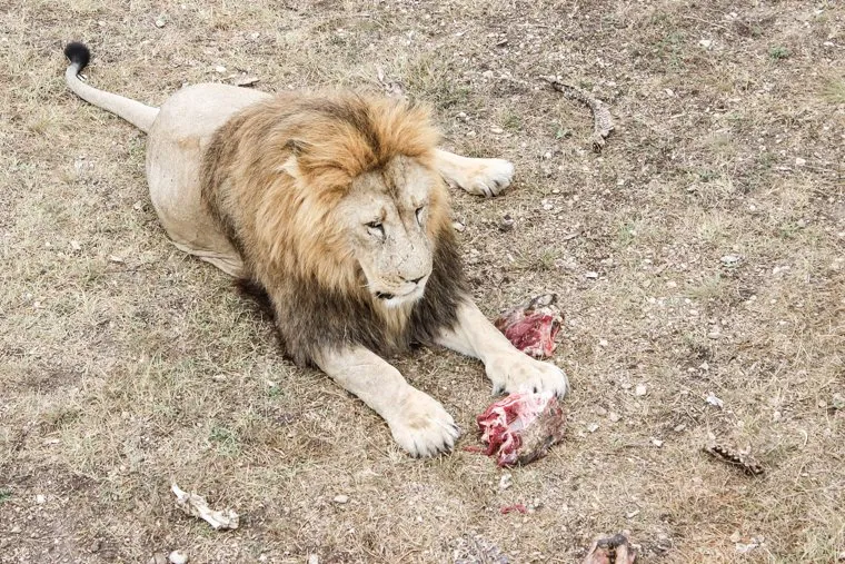 Черноморский флот, Крым и летний отдых. ХМАО