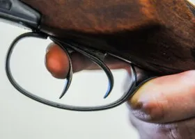 В Ульяновской области мужчина устроил бойню в детском садике