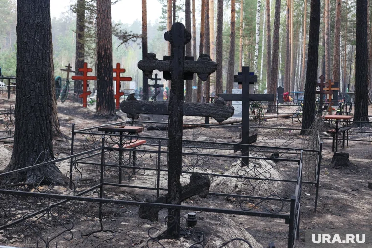 Кладбище в Чистопрудном проверила прокуратура и нашла нарушения