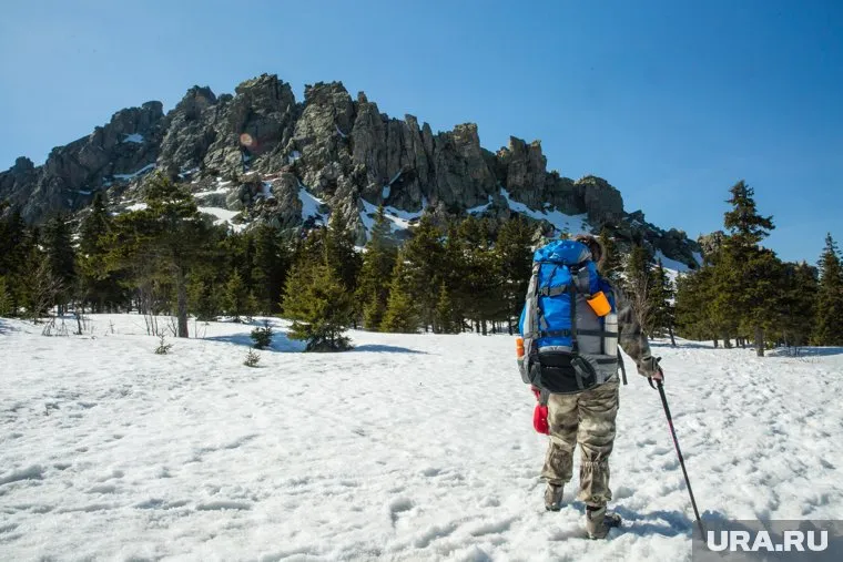 В нацпарке рекомендуют посещать лес в светлое время суток (фото из архива)