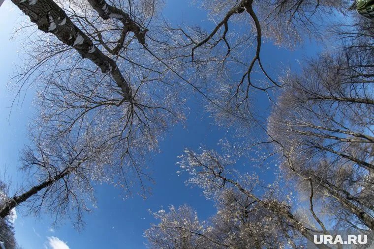 Пермяки сделают на природе яркие снимки