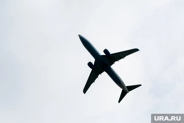 Самолет из Салехарда столкнулся с птицей при посадке в Сочи