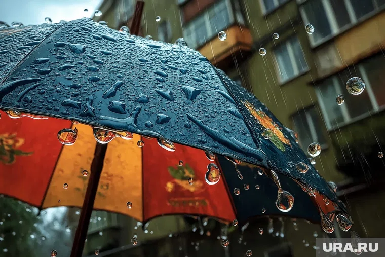 На Ямале в понедельник ожидаются порывы ветра до 20 м/с