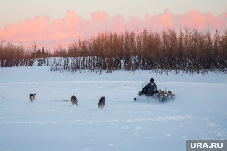 Яков Михайлов возвращался с рыбалки, когда его снегоход остановили сотрудники ДПС (архивное фото)