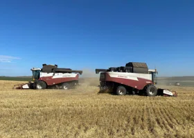 Под Екатеринбургом собрали тысячи тонн пшеницы и ячменя