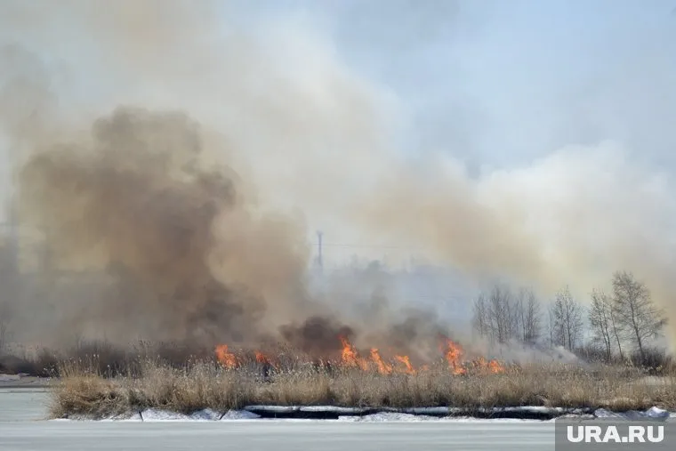 Пожарные почти 12 часов борются с возгоранием сухой травы под Тюменью