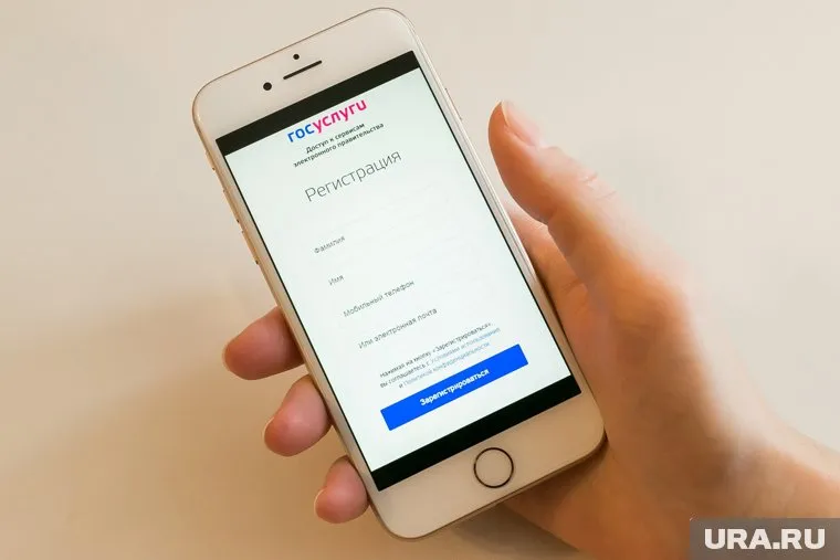 Студенты смогут следить за своей успеваемостью онлайн