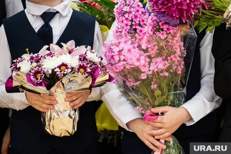 Приемная компания для льготных категорий стартовала 15 декабря