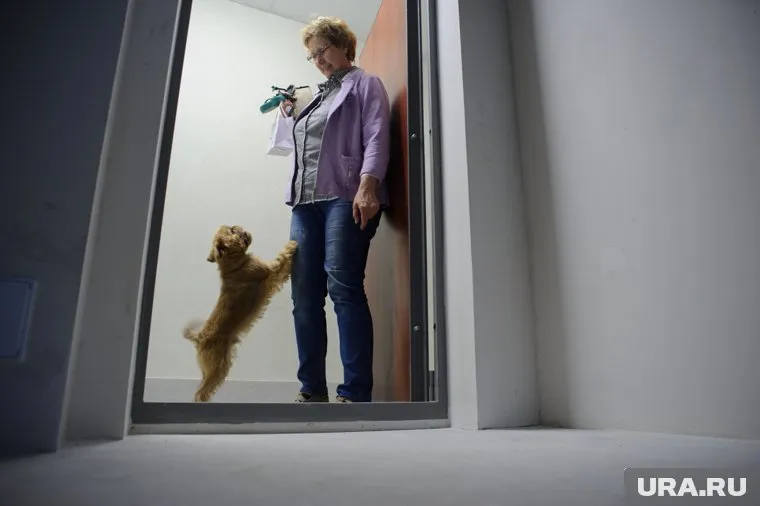 Россиян ждет ряд положительных изменений. Доступнее станет ипотека