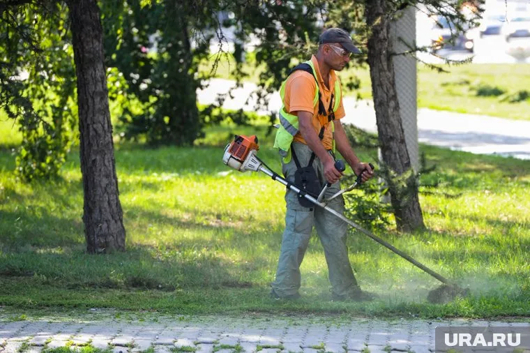 Жителей возмутил покос травы в дождливую и ветреную погоду