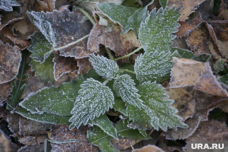 В выходные тюменцев ждет похолодание