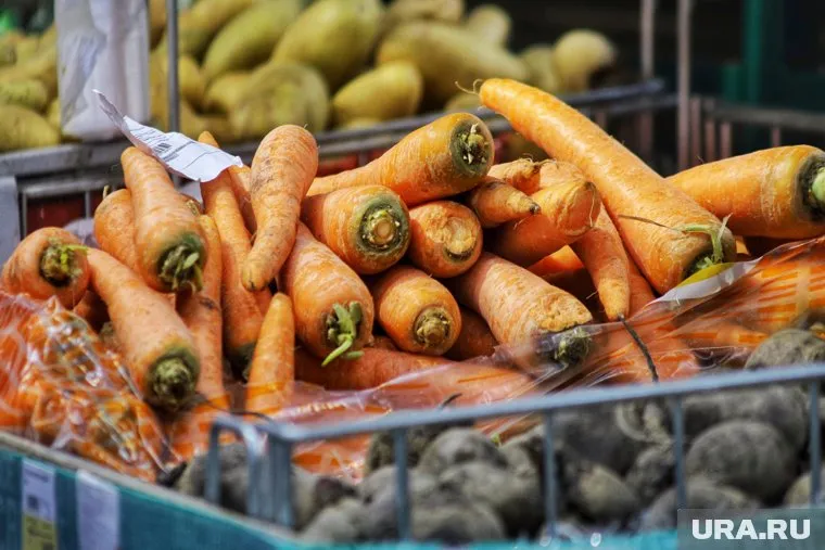 Морковь в курганских магазинах стоит 94 р. за кг