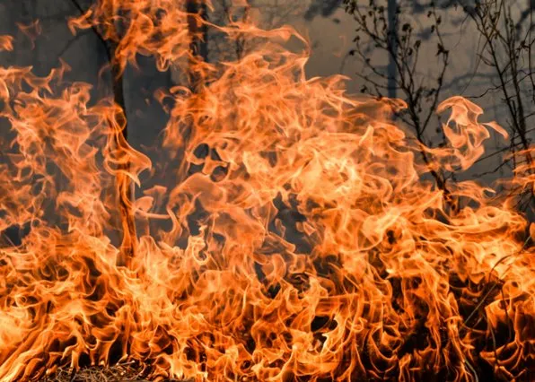 Фотография из галереи