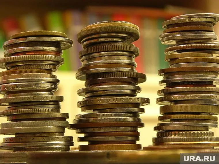 Задолженность выросла на 118 миллионов рублей