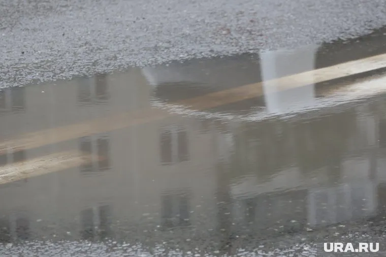 Ожидается северный ветер со скоростью 4 м/с