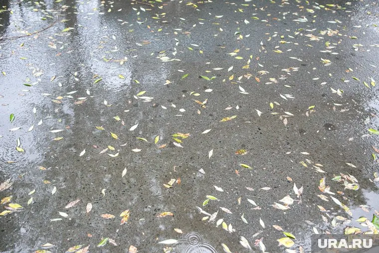 28 августа в ЯНАО ожидается дождь