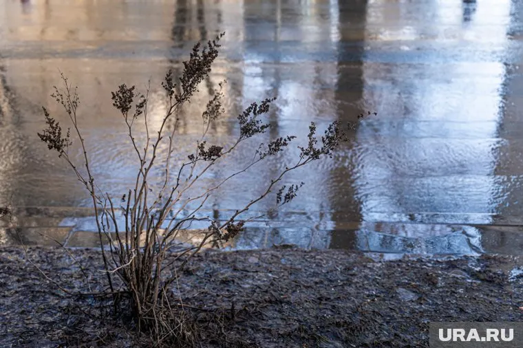 Гигантская лужа в Нижневартовске становится все больше и начинает растекаться на дороги