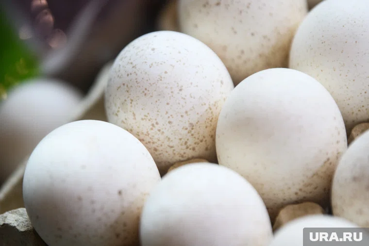 Производитель яиц вовремя не рассчитался за утилизацию отходов