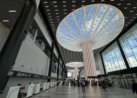 Задержки и отмены рейсов в России 20 ноября: онлайн-табло