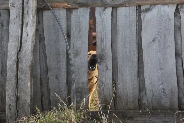Деревня Репьева. Ишимский район