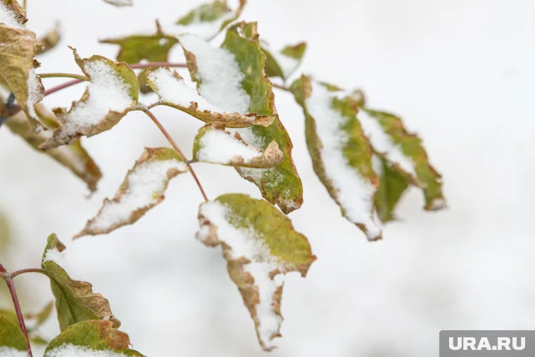 Температура воздуха может опуститься до -17 градусов