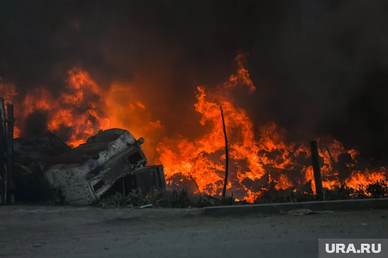 В УрФО за полгода сгорело 16 470 квадратных километров