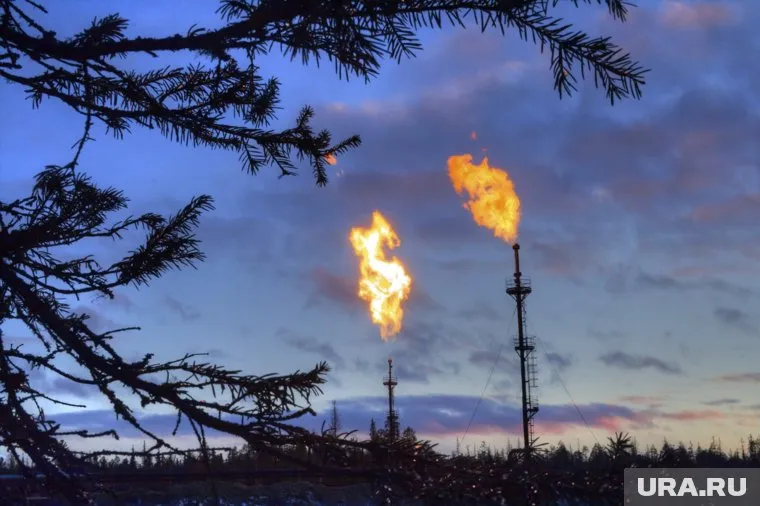 Россия и Турция обсуждают стоимость покупки российского газа