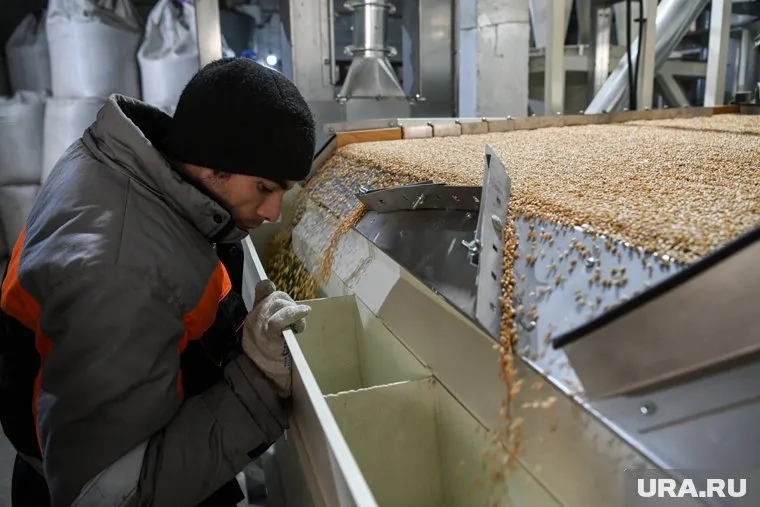 Компании не проверяют зерно и продукты его переработки на наличие пестицидов и других вредных веществ