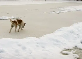 В Челябинской области прогнозируют поздний ледостав