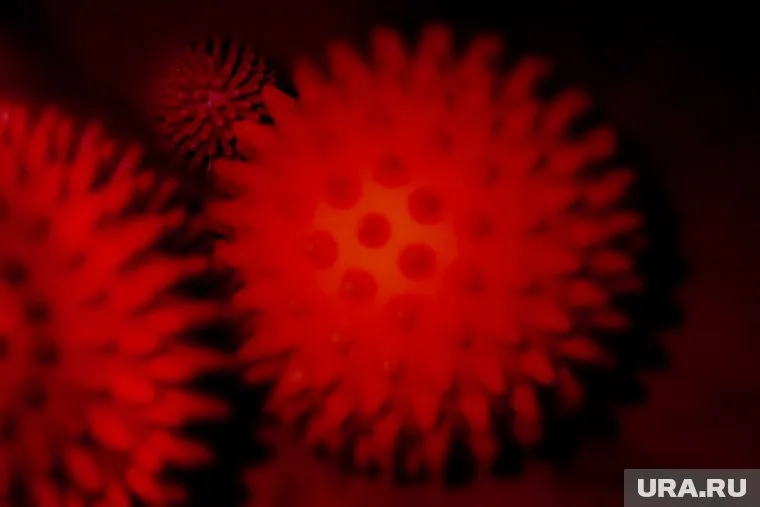 По мнению инфекциониста, мутация коронавируса не приводит к образованию новой инфекции