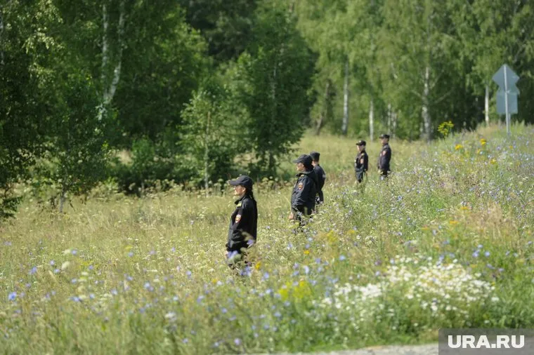 Девочку ищут полиция и волонтеры (архивное фото)