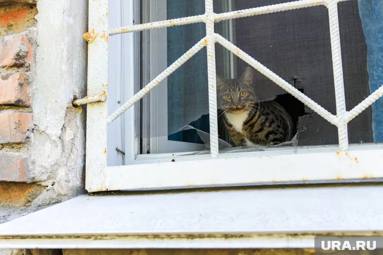 Рекомендуется поставить у окна какие-нибудь предметы, которые не дадут детям выпасть