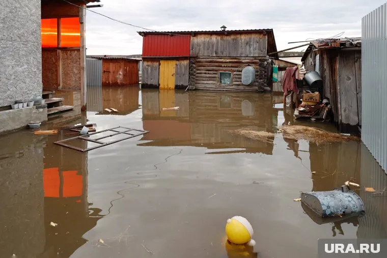 Добровольцы будут сопровождать эвакуированных в ПВР