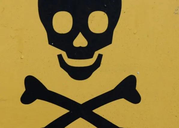 Фотография из галереи