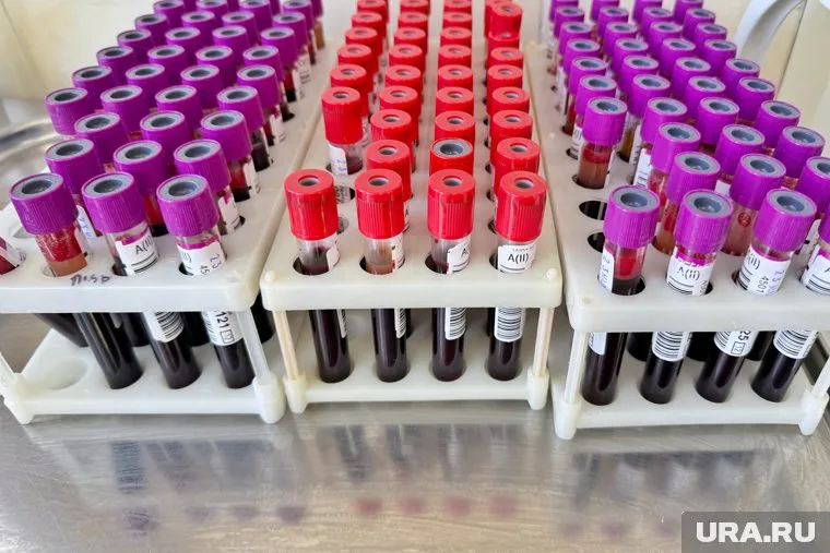 Власти Великобритании игнорировали сбор крови, что в итоге привело к массовому заражению ВИЧ