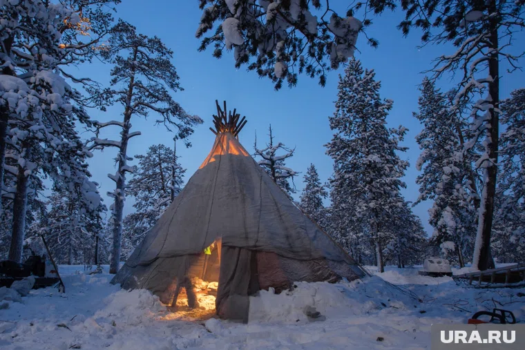 В ЯНАО утвердили единый стандарт «Чумового капитала» для оленеводов
