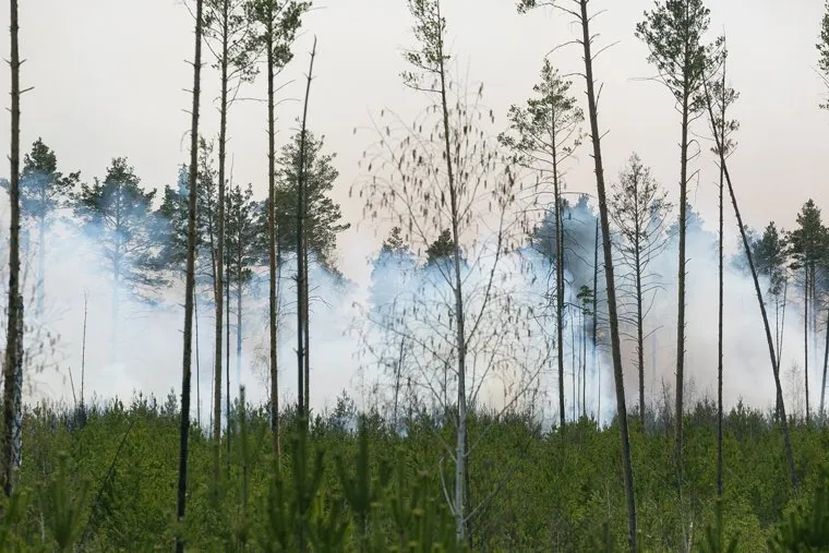 Горит лес. Тюмень